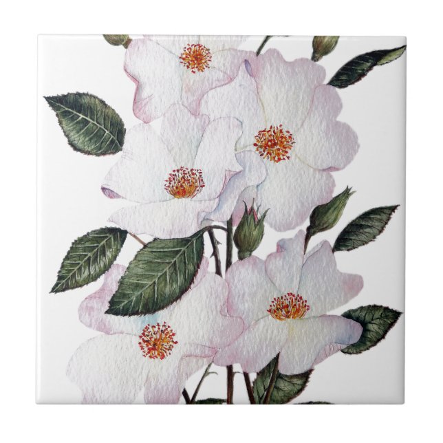 Carreau Floral Art de Roses (Devant)