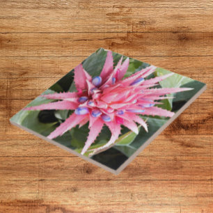 Carreau Floral Plante Vase Argent