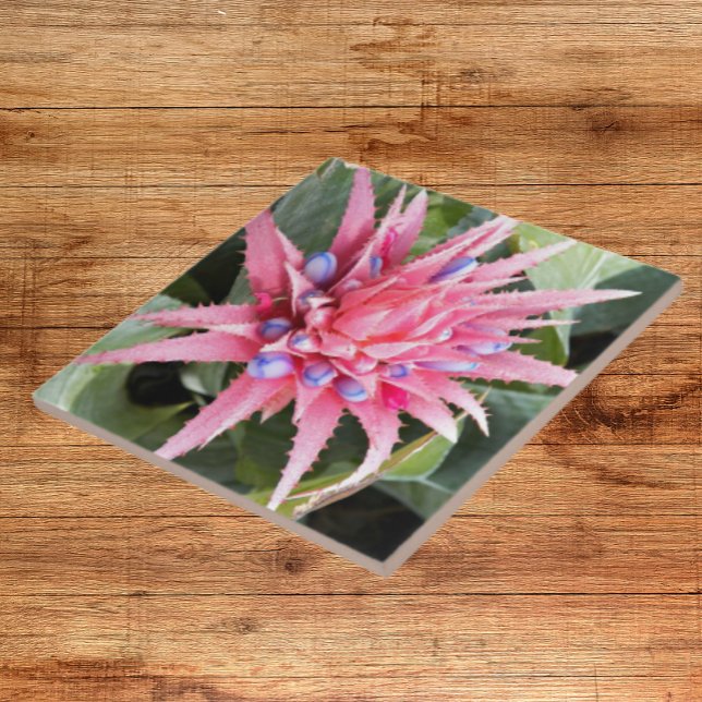 Carreau Floral Plante Vase Argent (In Situ)