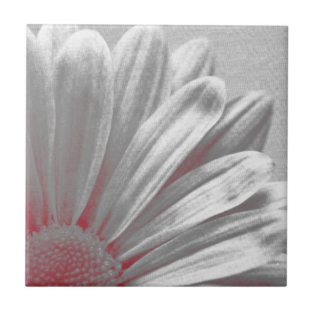 Carreau Floral Rouge (Devant)