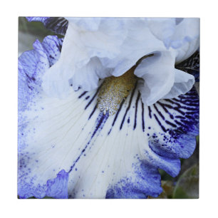 Carreau Flore d'Iris à fond bleu et blanc