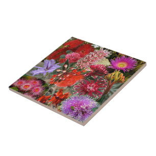 Carreau Flowers sauvages australiens