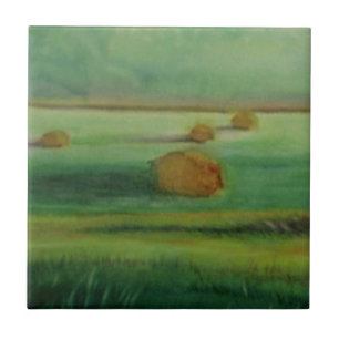 Carreau Foin léger du matin doux en champ