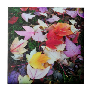 Carreau Folithe d'automne