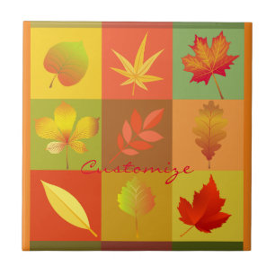 Carreau Folithe d'automne L'automne quitte Thunder_Cove
