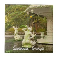 Fontaine de Forsyth, la savane, photographie de