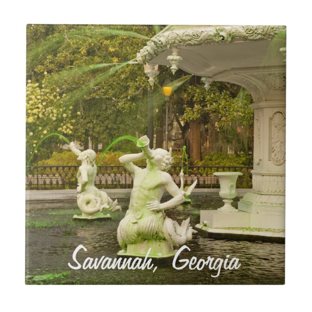 Carreau Fontaine de Forsyth, la savane, photographie de (Devant)