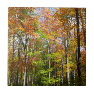 Carreau Forêt d'automne II Photographie de paysage automna