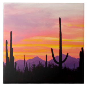 Carreau Forêt de Cactus du Saguaro au coucher du soleil