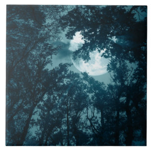 Carreau Forêt nocturne enchanteresse avec pleine lune