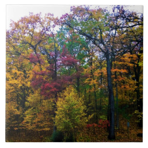 Carreau Forêt sombre d'automne