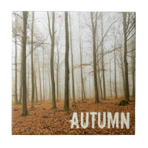 Fosse d'automne et brouillard cadeau de la saison