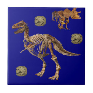 Carreau Fossile de tuile en céramique