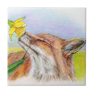 Carreau Fox de Fred