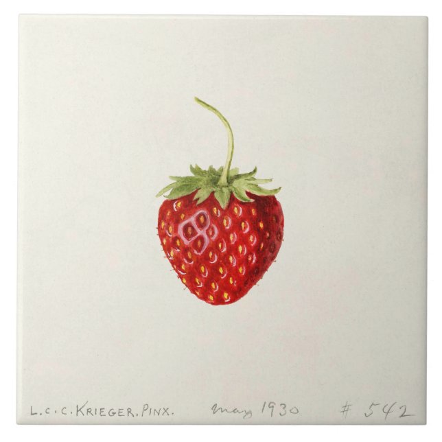 Carreau Fraise rouge mûre (par Louis C.C. Krieger) (Devant)