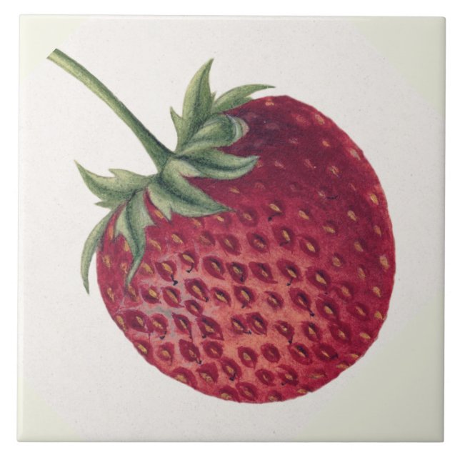 Carreau Fraise vintage (Devant)