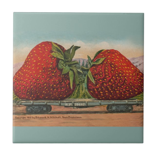 Carreau Fraises Giant Fruit Antique Fruit Amusant (Devant)