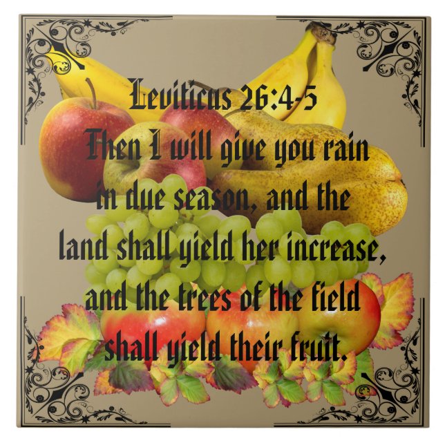 CARREAU FRUIT (Devant)