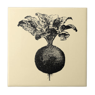 Carreau Fruits et légumes de l'époque victorienne vintage 