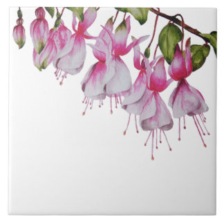 Carreau Fuchsias festives sur un carrelage en céramique