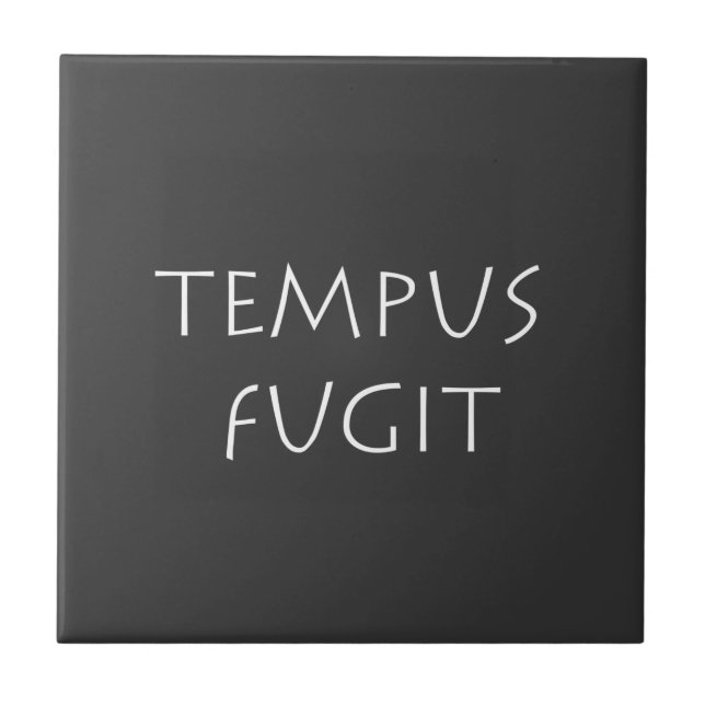 Carreau Fumgit Tempus (Devant)