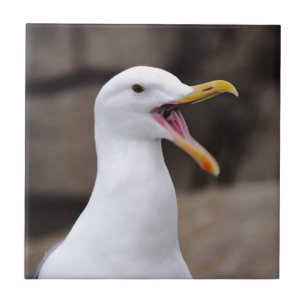 Carreau FUNNY Seagull