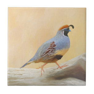 Carreau Gambrel's Quail Painting Original Bird Art