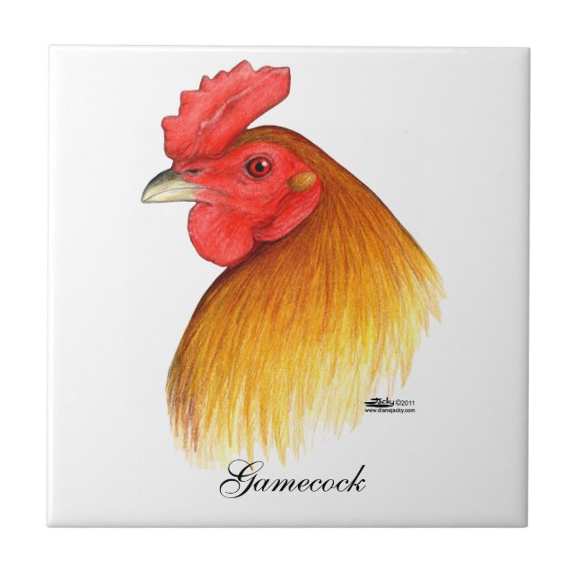 Carreau Gamecock (Devant)