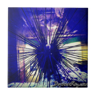 Carreau Garnement noir de Longspine