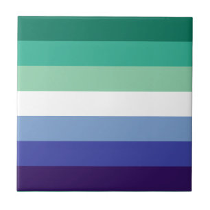 Carreau Gay Men's Pride, Striped Print, LGBTQ FIDE