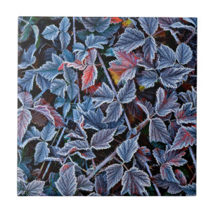 Carreau Gelée blanche sur feuilles d'automne, Oregon