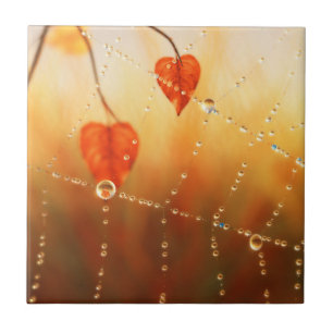 Carreau Gemmes d'une mosaïque décorative d'automne / Trive