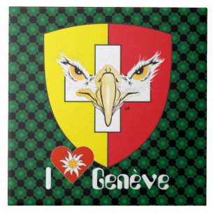 Carreau Genève / Genève Suisse Svizzera Fliese
