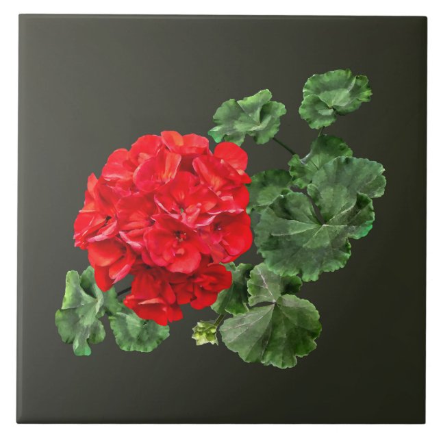 Carreau Géranium rouge brillant (Devant)