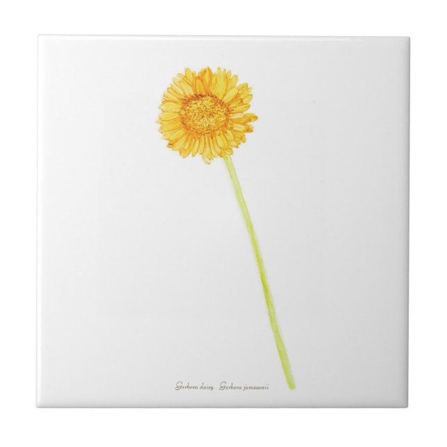 Carreau Gerbera (Devant)