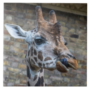 Carreau Girafe en céramique vue rapprochée