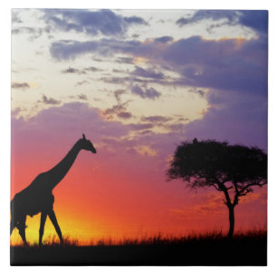 Carreau Girafe en silhouette au lever du soleil, Giraffa