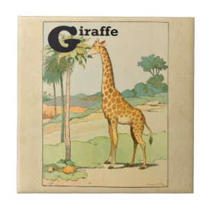 Carreau Giraffe Manger Acacia dans le désert
