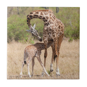 Carreau Giraffe Mère et bébé au Kenya