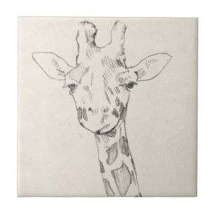 Carreau Giraffe Portrait   Croquis