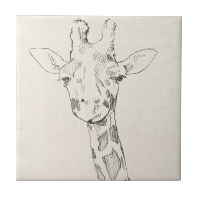 Carreau Giraffe Portrait | Croquis (Devant)
