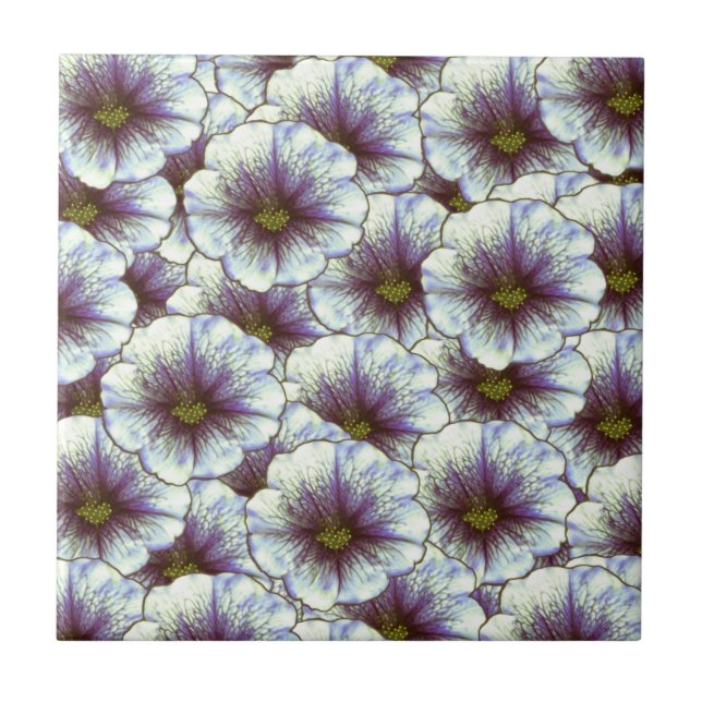 Carreau Gloire du matin violet et blanc (Devant)