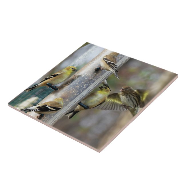 Carreau Goldfinches au chargeur (Côté)