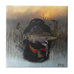 Carreau Gordon Setter