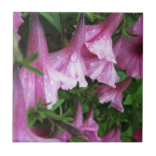 Carreau Gouttes de rosée sur des fleurs roses