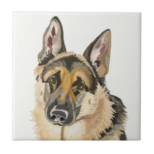 Carreau Grand Berger Allemand, Chien Alsacien