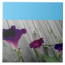 Carreau Grand, décoratif