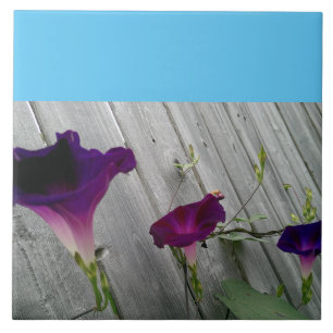 Carreau Grand, décoratif