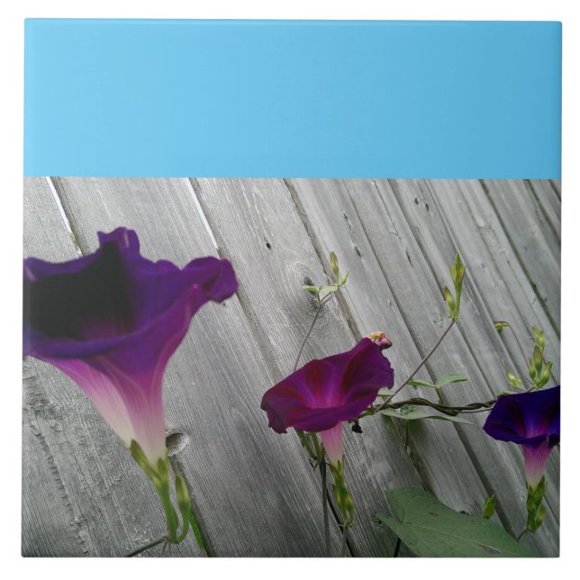 Carreau Grand, décoratif (Devant)