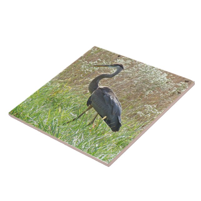 Carreau Grand héron bleu - Ardea herodias - #2 (Côté)